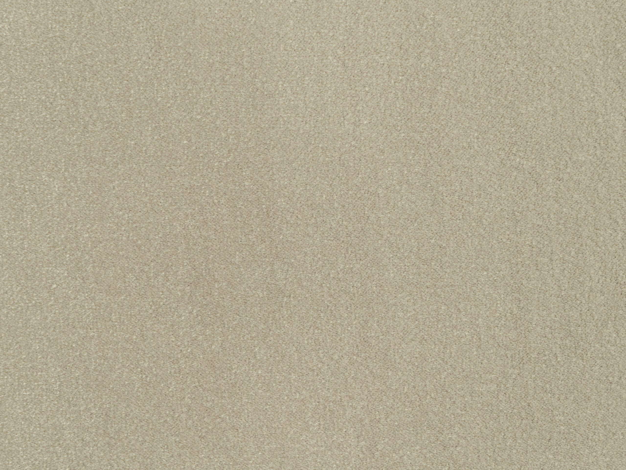 Cabernet 120106