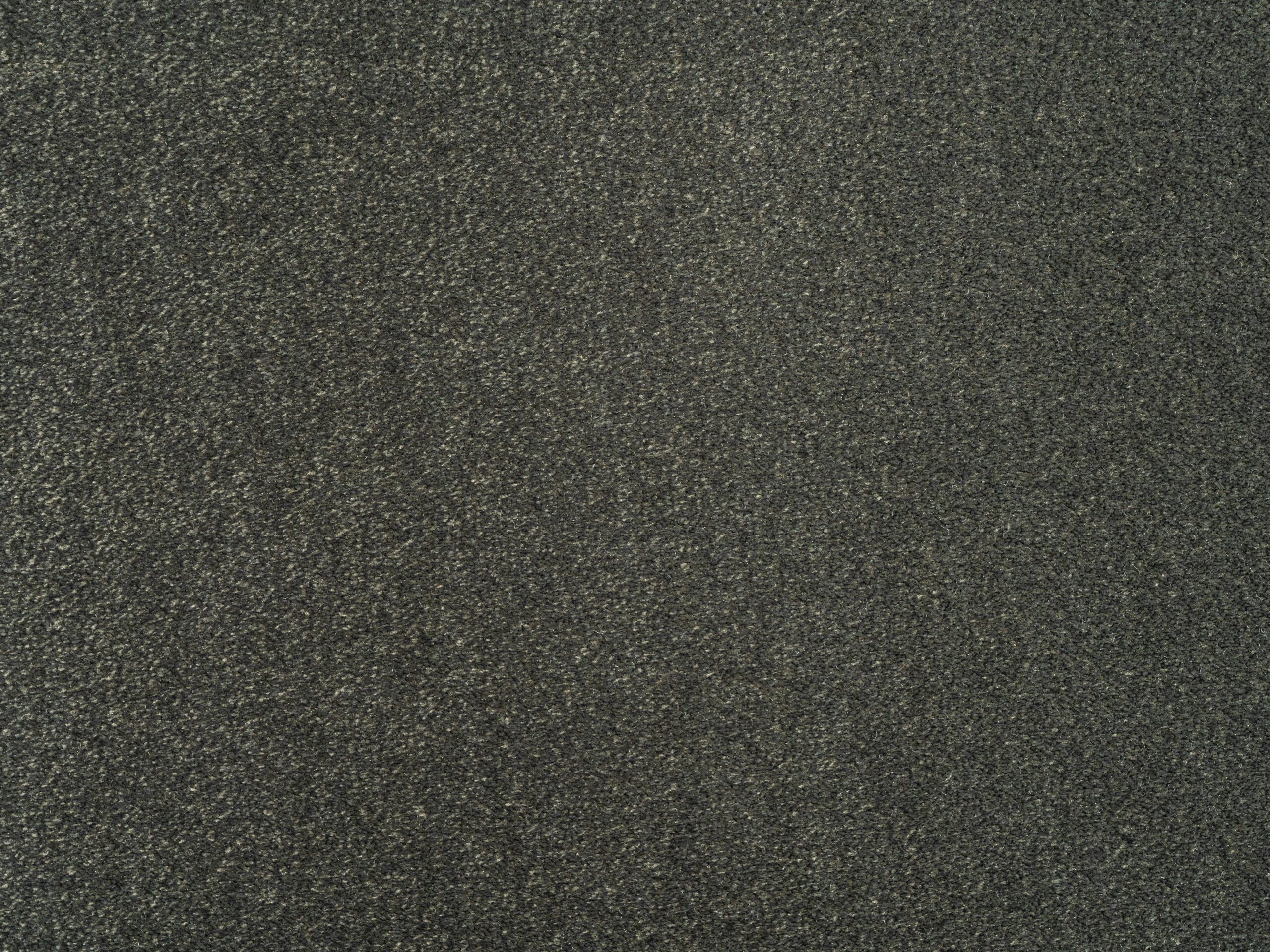 Cabernet 120308